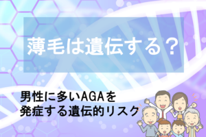 薄毛と遺伝