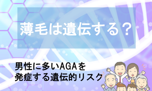 薄毛と遺伝