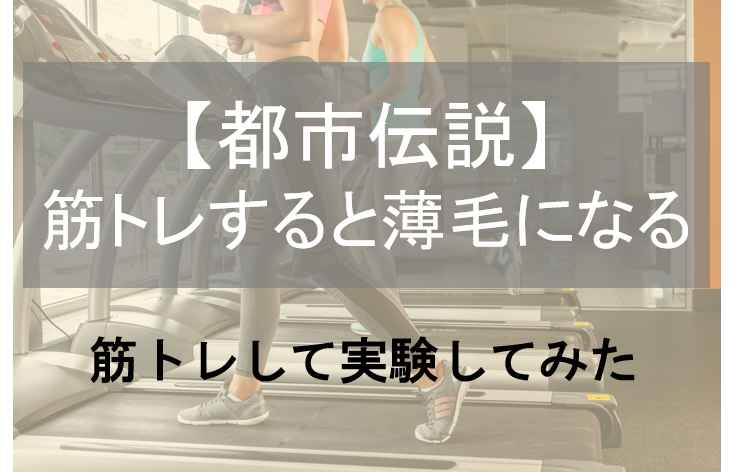 筋トレやると薄毛になるのは都市伝説なの 実験画像有り 公式 スーパースカルプ発毛センター寝屋川枚方店