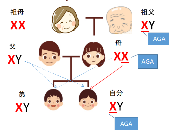 AGA遺伝家系図