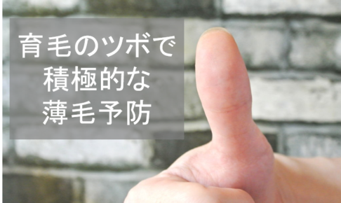 昆布の都市伝説 昆布を食べて髪を生やす方法は 公式 スーパースカルプ発毛センター寝屋川枚方店