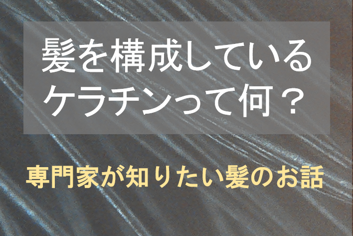 髪の主成分 ケラチン が足りない薄毛事情 公式 スーパースカルプ発毛センター寝屋川枚方店