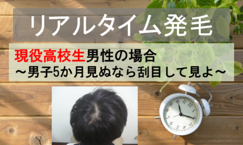 高校生、10代の発毛