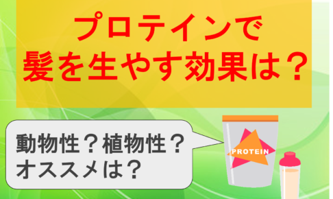 プロテインで髪を生やす効果