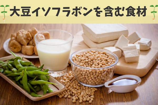 薄毛予防に良い大豆イソフラボンを多く含む食材