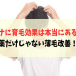 ヘナに育毛効果はある？週1ケアで髪が増えた実例と正しい改善方法を解説