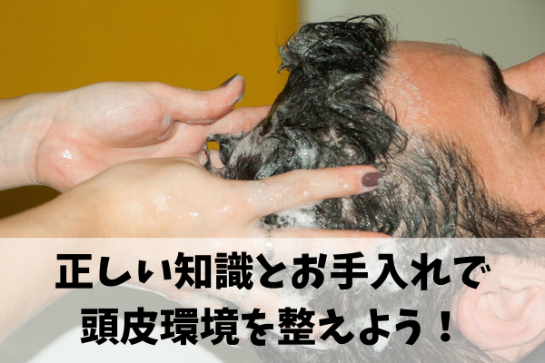 まとめ:自分の頭皮にあったアミノ酸シャンプーで育毛をしよう！