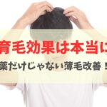 ヘナに育毛効果はある？週1ケアで髪が増えた実例と正しい改善方法を解説
