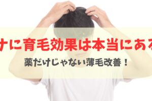 ヘナに育毛効果はある？週1ケアで髪が増えた実例と正しい改善方法を解説