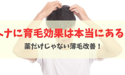 ヘナに育毛効果はある？週1ケアで髪が増えた実例と正しい改善方法を解説