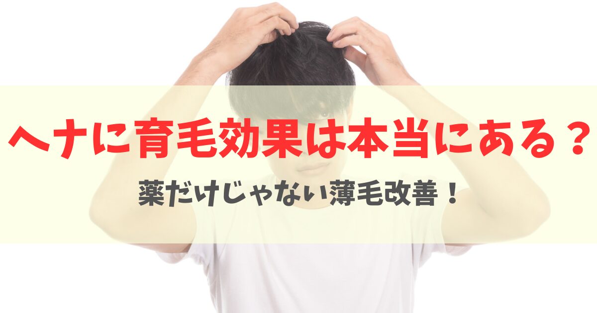 ヘナに育毛効果はある?週1ケアで髪が増えた実例と正しい改善方法を解説