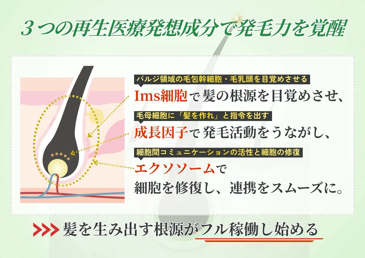 3つの再生医療発想成分で発毛力を覚醒