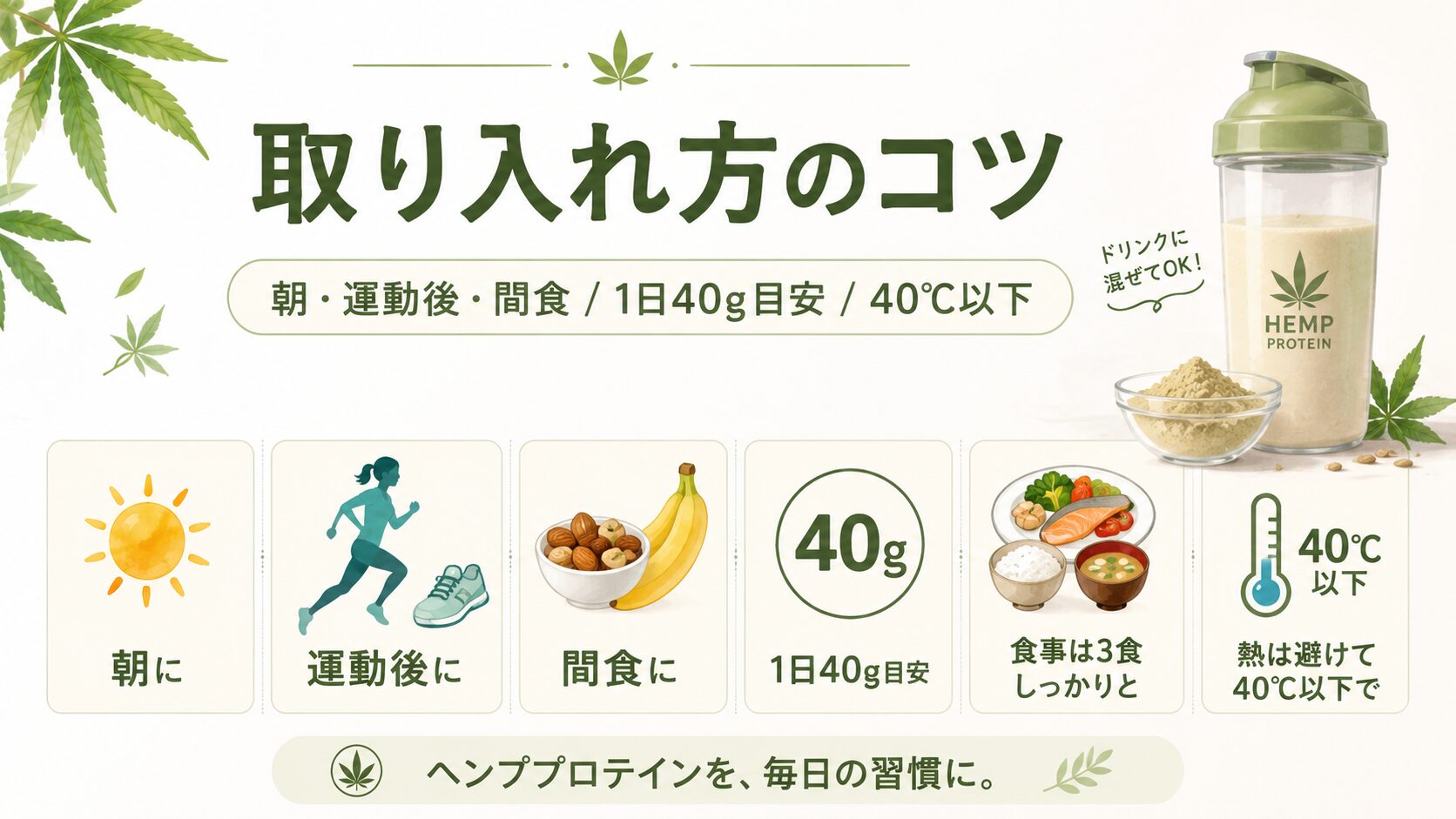 育毛に効果的なヘンププロテインの取り入れ方