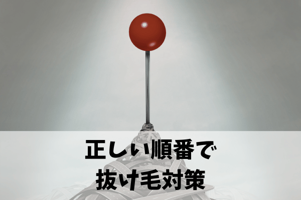 抜け毛の不安をなくす正しいステップ(薄毛改善ロードマップ)
