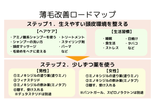 薄毛改善ロードマップ