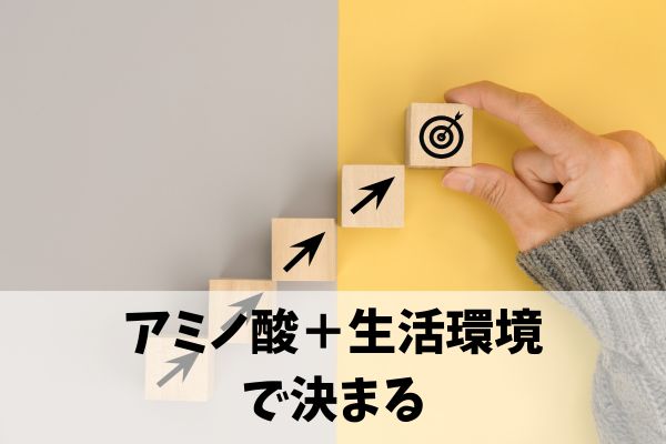 まとめ：リジンと薄毛対策はアミノ酸のバランスと生活の土台で決まる