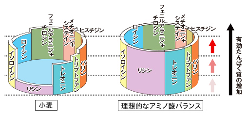 桶理論
