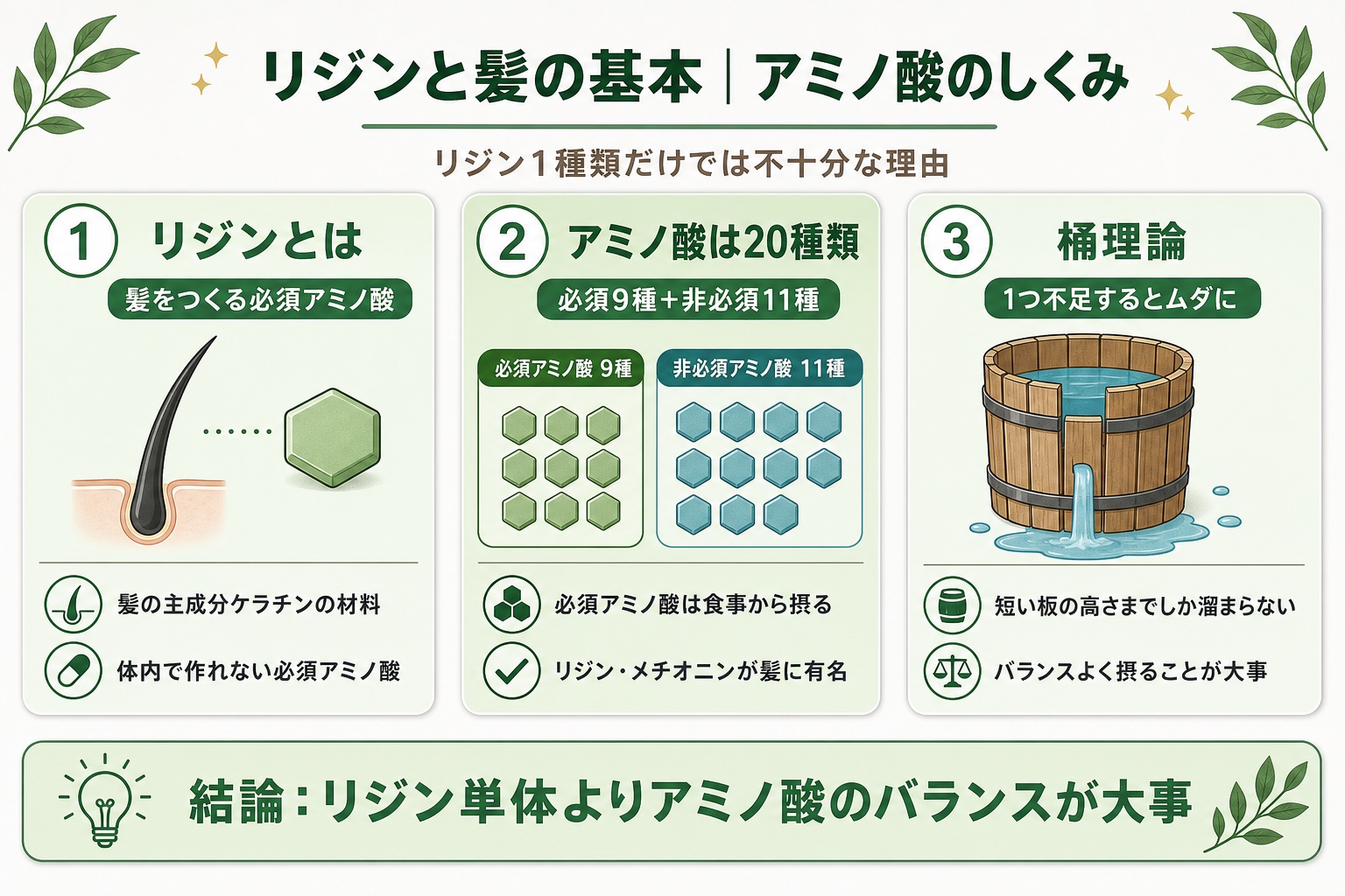 リジンは薄毛・育毛に効果ある？まず知っておきたいアミノ酸の基本