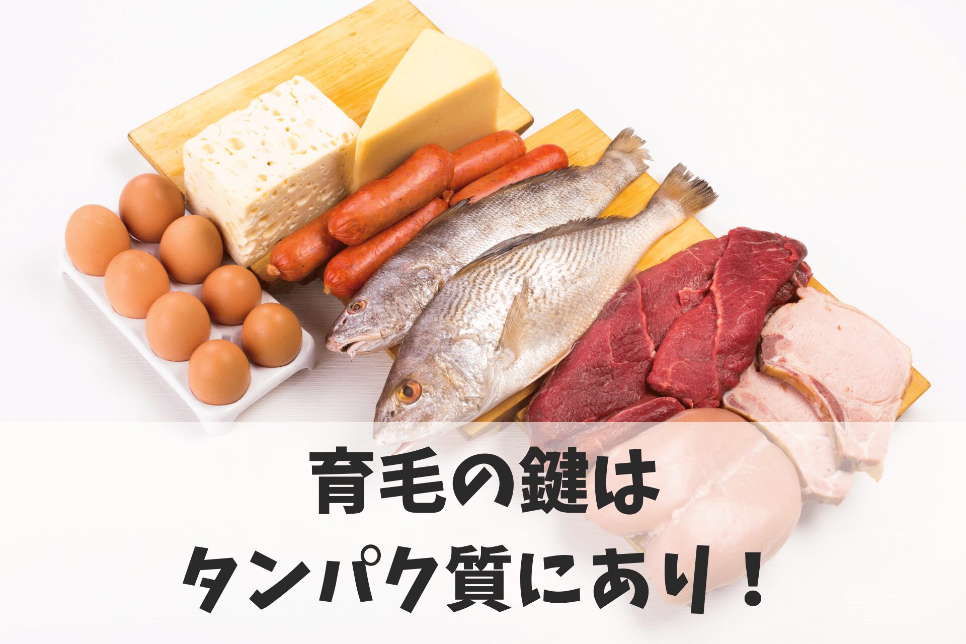 食べ物と一緒に意識したい「タンパク質」と「薬」との付き合い方