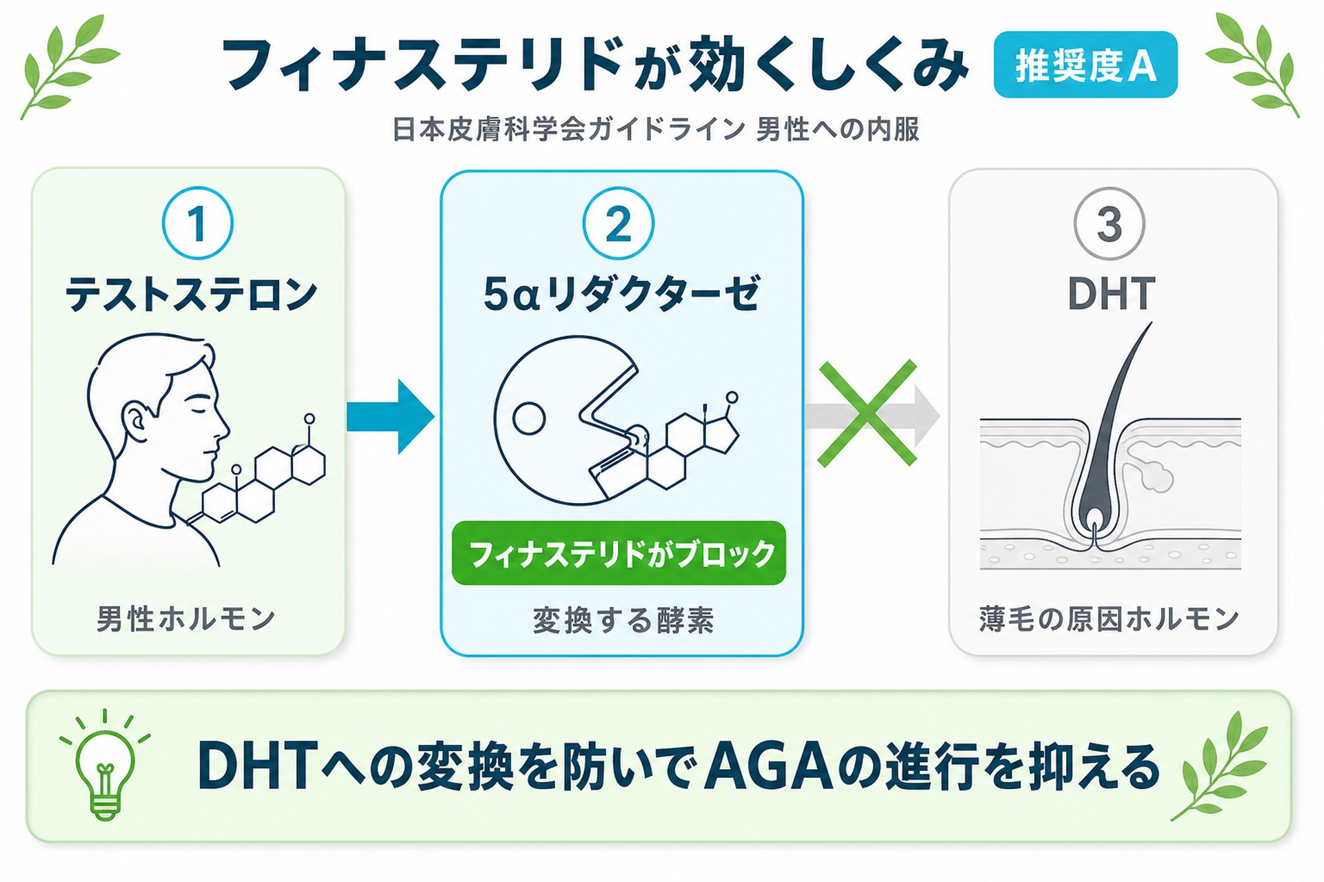 そもそもフィナステリドはどんな薬?